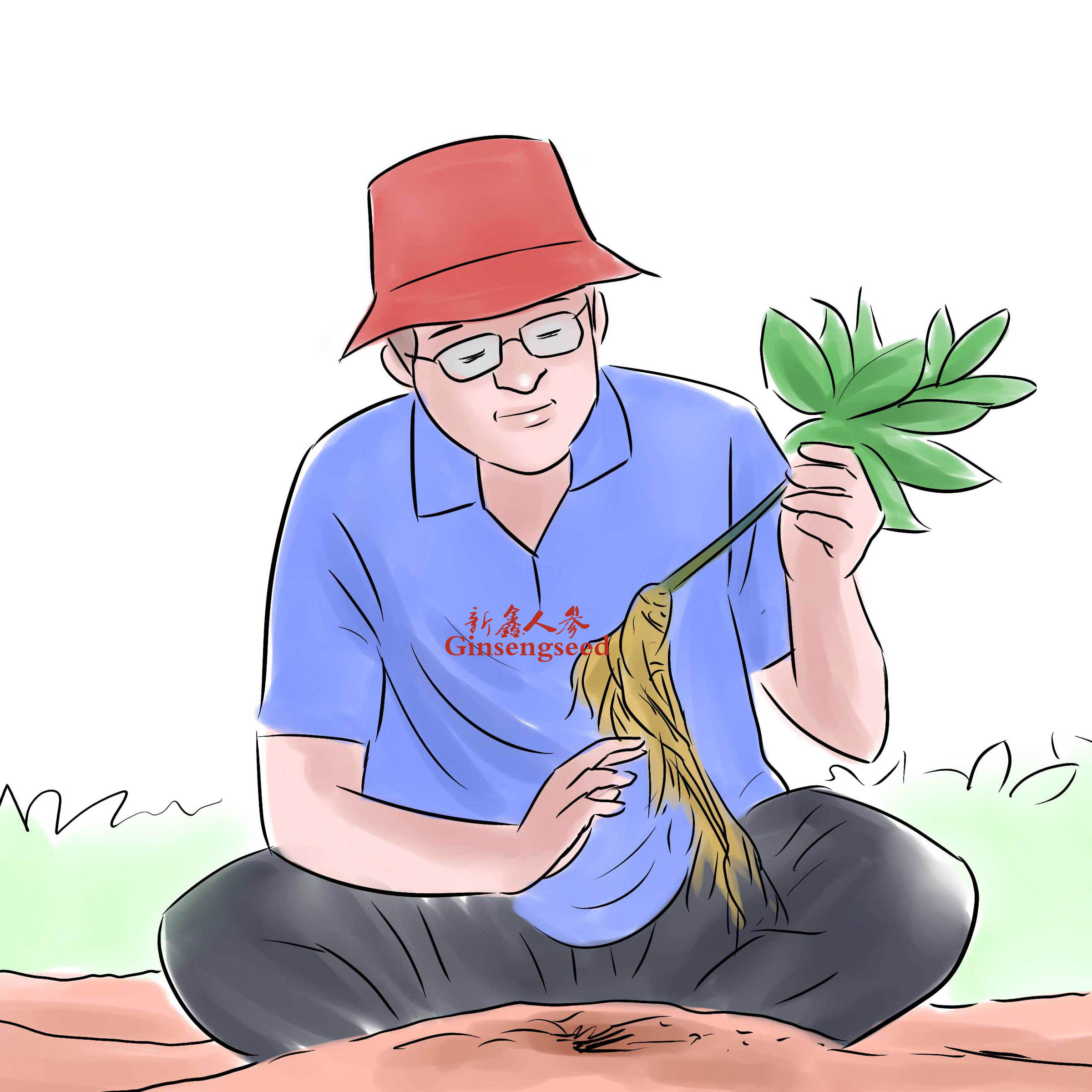 Hunt-for-Wild-Ginseng-Step-3