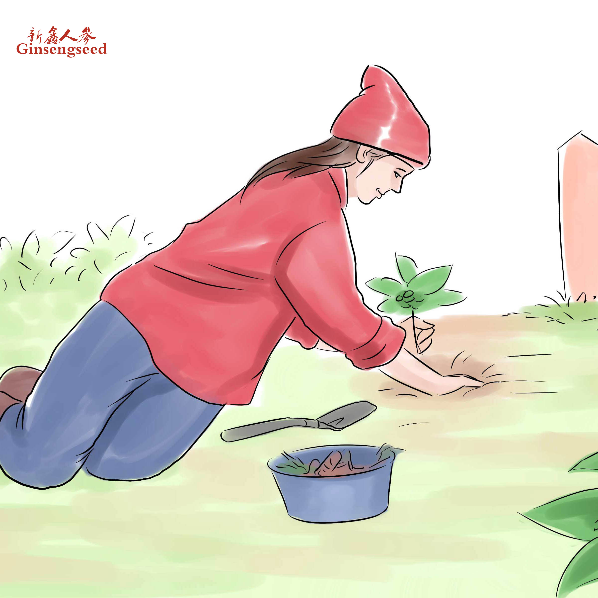 Hunt-for-Wild-Ginseng-Step-6