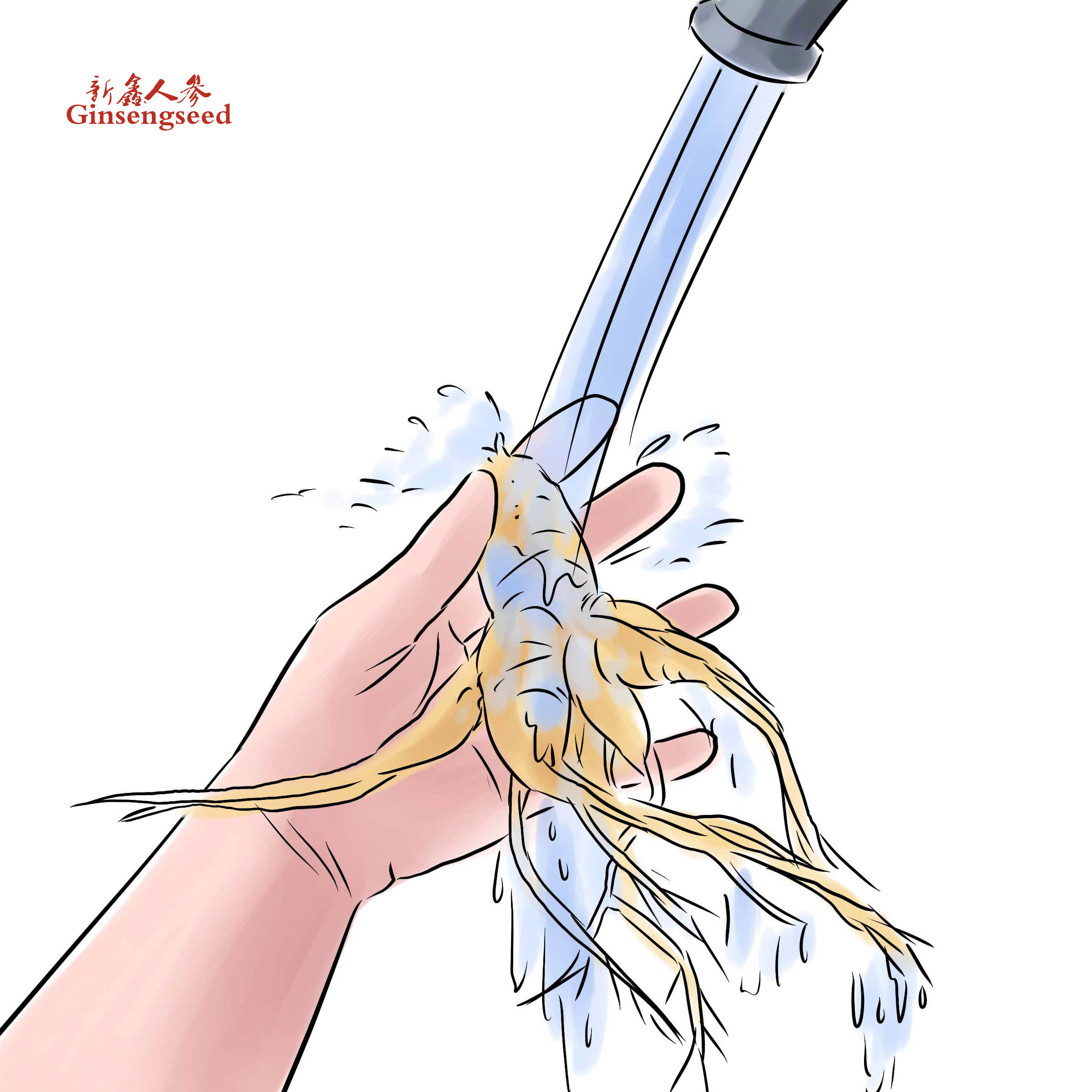 Hunt-for-Wild-Ginseng-Step-7