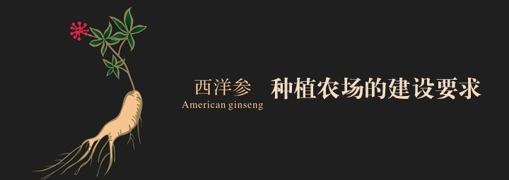 西洋参种植农场的建设要求