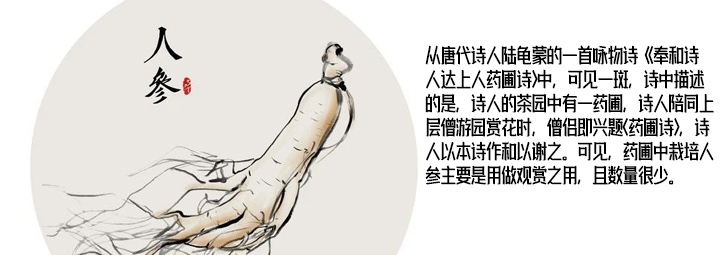 原来种植人参还有这些历史…..