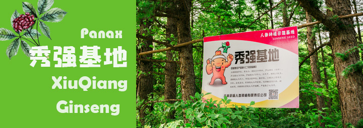 吉林薪杨人参种植有限公司【秀强基地】正式成立