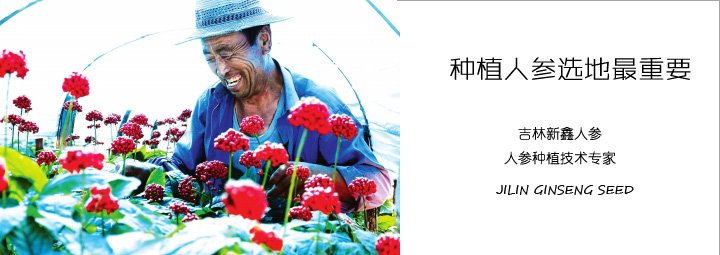 种植人参选地最重要