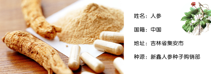 中国人参如何提“身”价