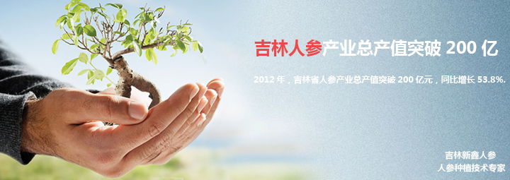 2012年吉林人参产业总产值突破200亿