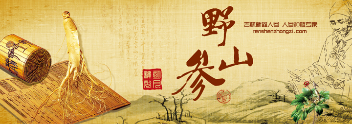 野山参为什么那样昂贵？