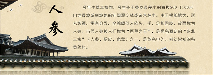 人参.你不知道的抗衰老疗效