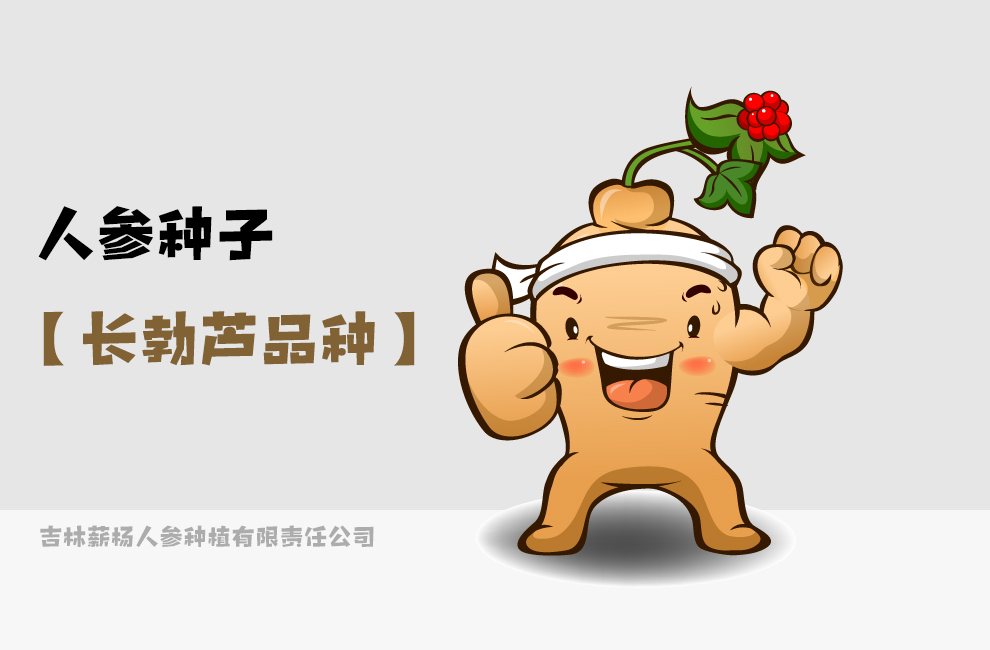 参园实拍