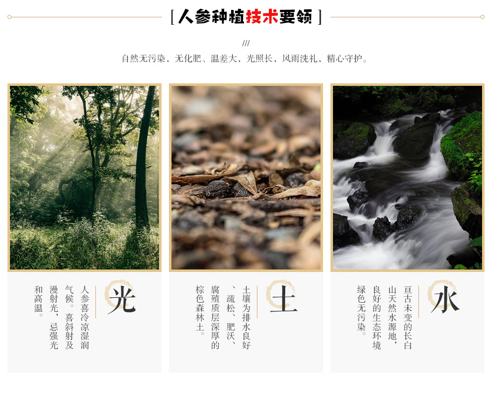 参园实拍