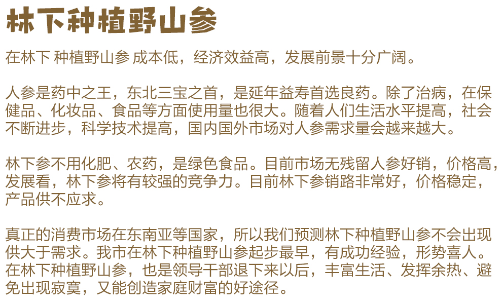 参园实拍