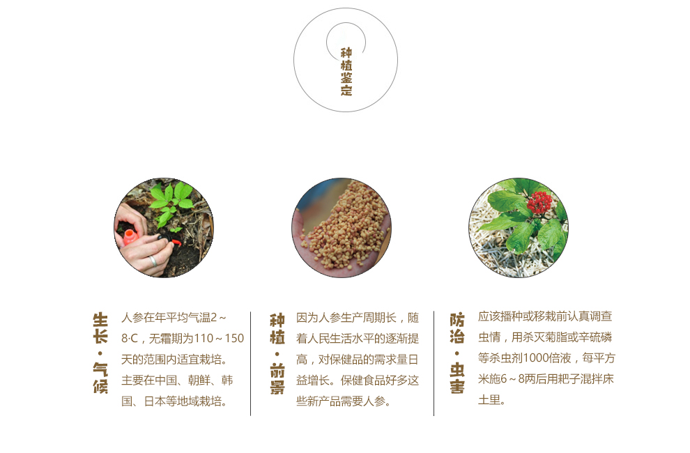 参园实拍