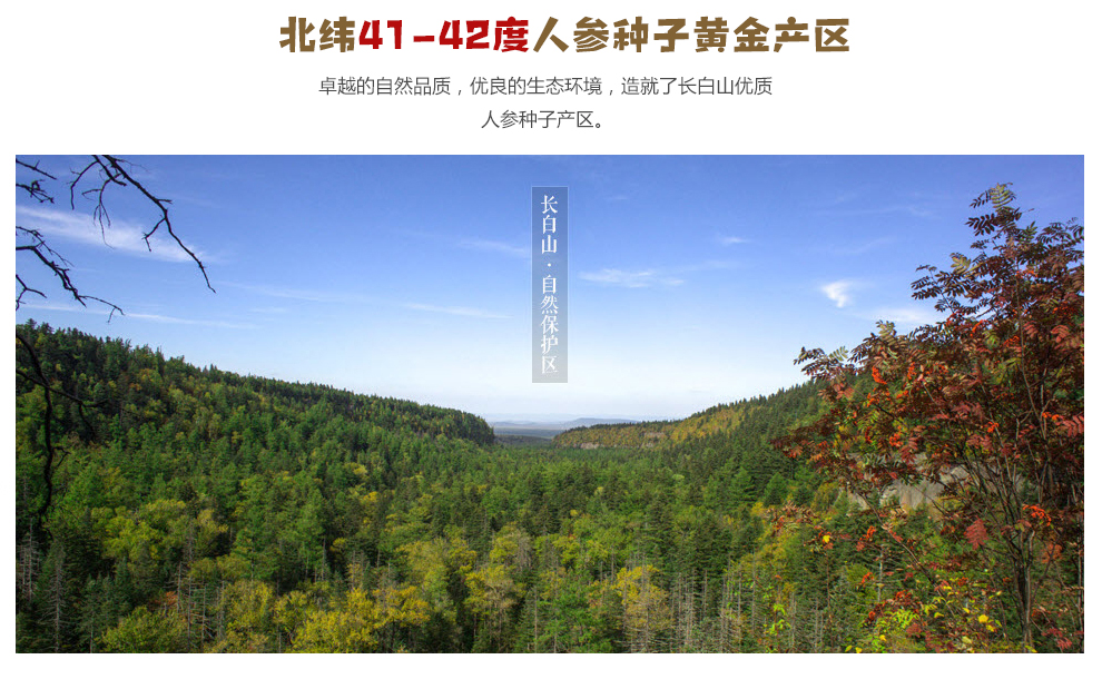 参园实拍