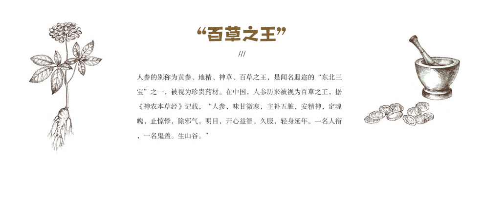 参园实拍