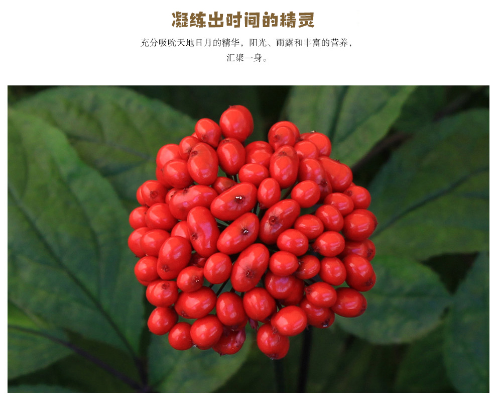 参园实拍