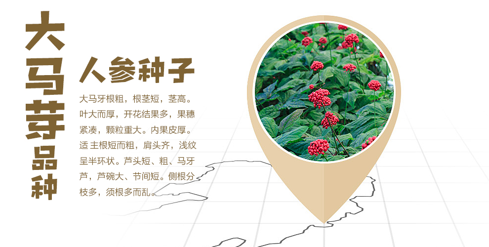 参园实拍