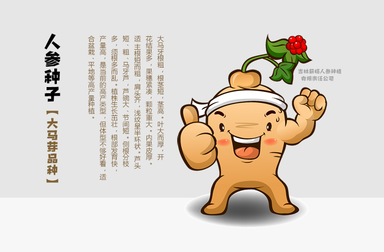 参园实拍
