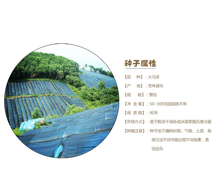 参园实拍