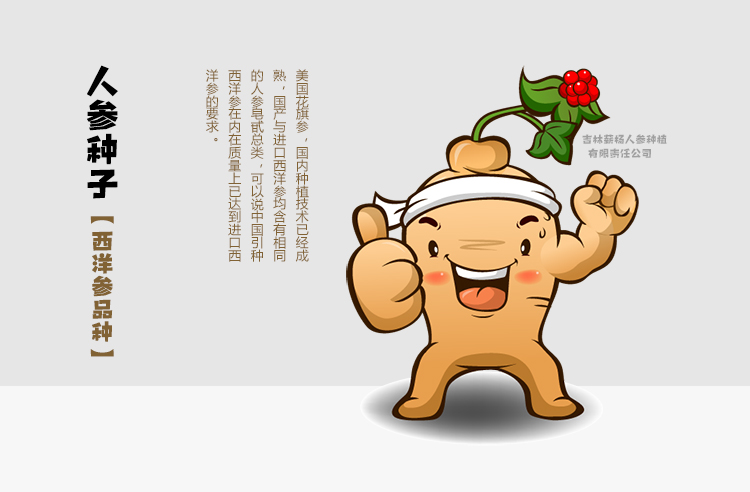 参园实拍