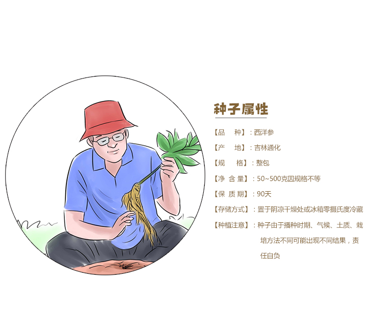 参园实拍