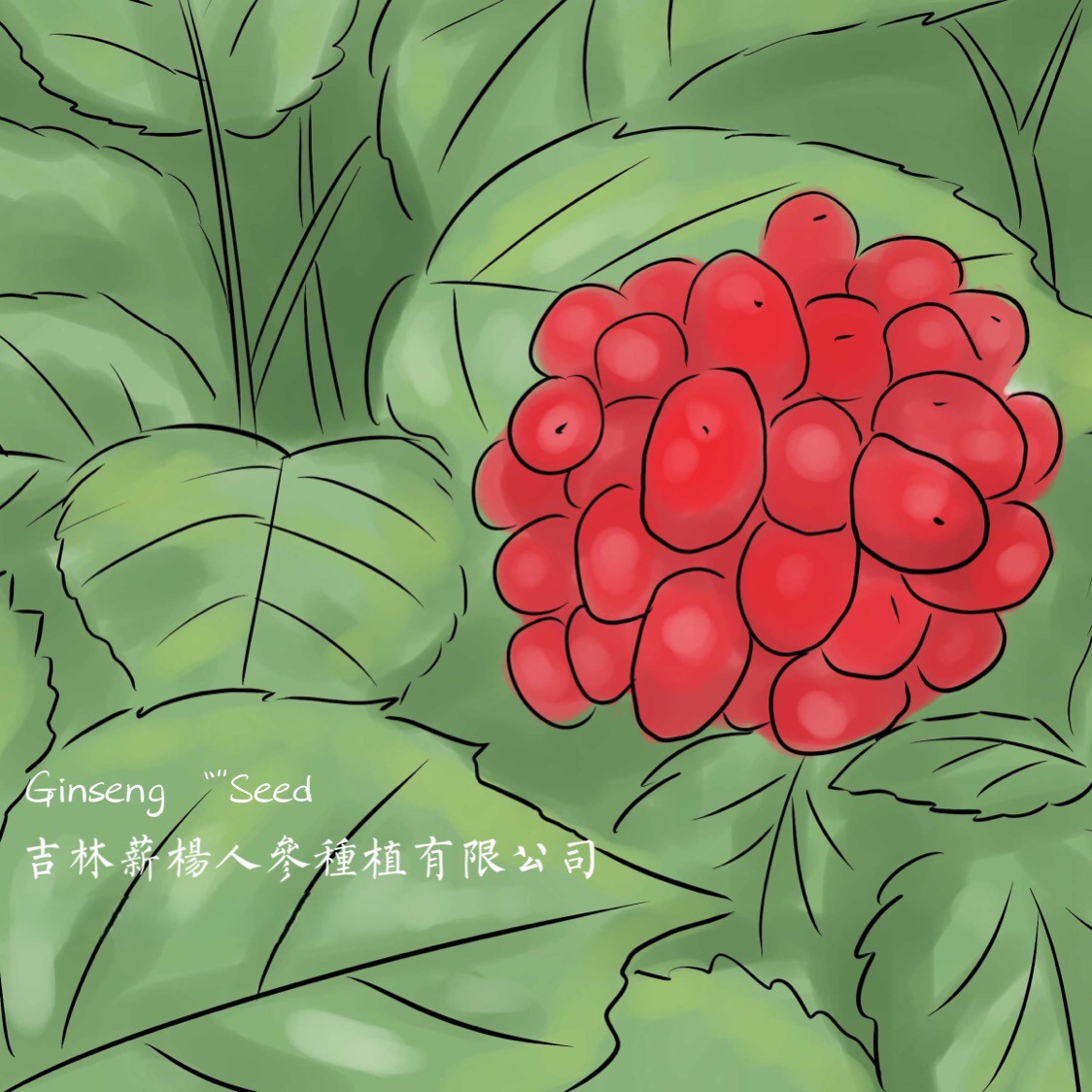 参园实拍
