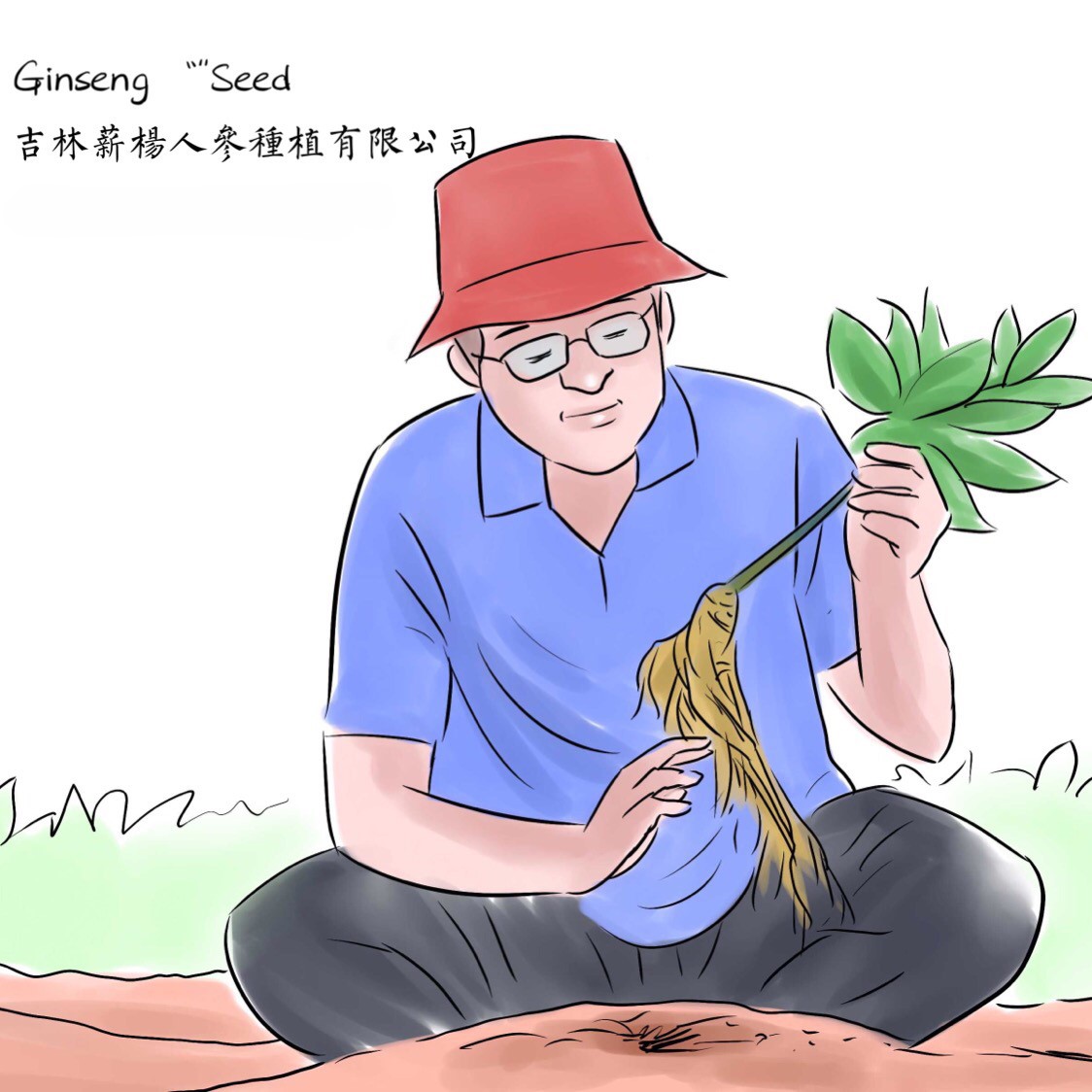 参园实拍