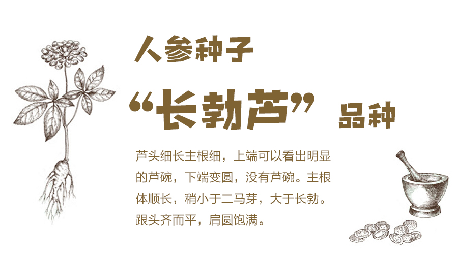 参园实拍