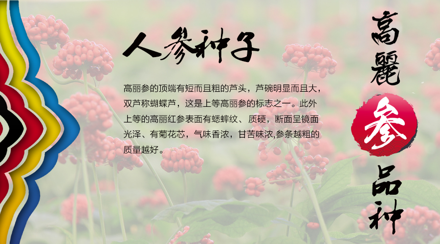 参园实拍
