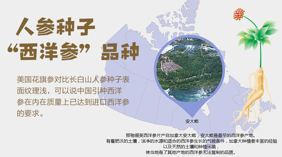 参园实拍