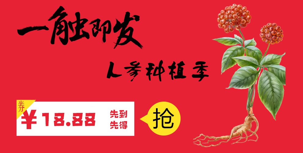 参园实拍
